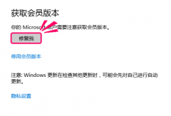 Win10预览版无法升级提示80080300的处理技巧_重装教