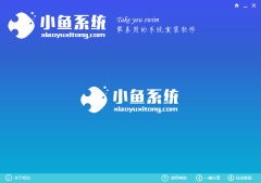 <b>小鱼系统重装大师应用方法</b>