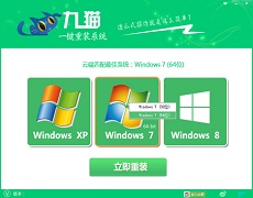 <b>九猫一键重装系统应用教程</b>